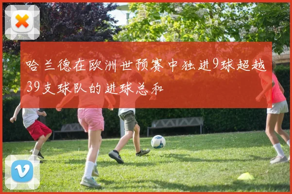 哈兰德在欧洲世预赛中独进9球超越39支球队的进球总和