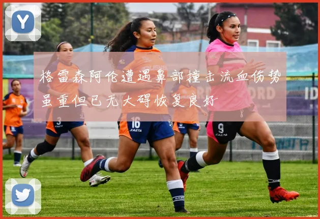 格雷森阿伦遭遇鼻部撞击流血伤势虽重但已无大碍恢复良好
