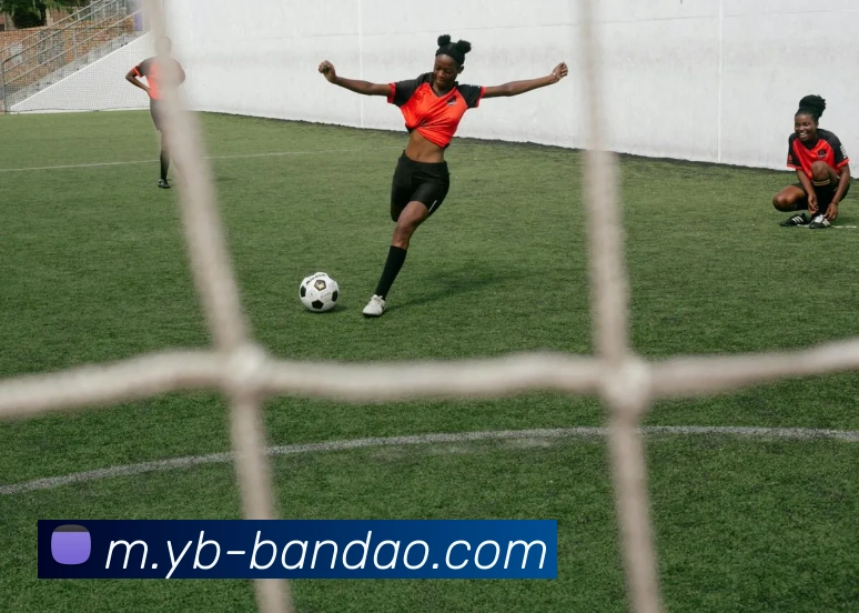 半岛体育平台生态图